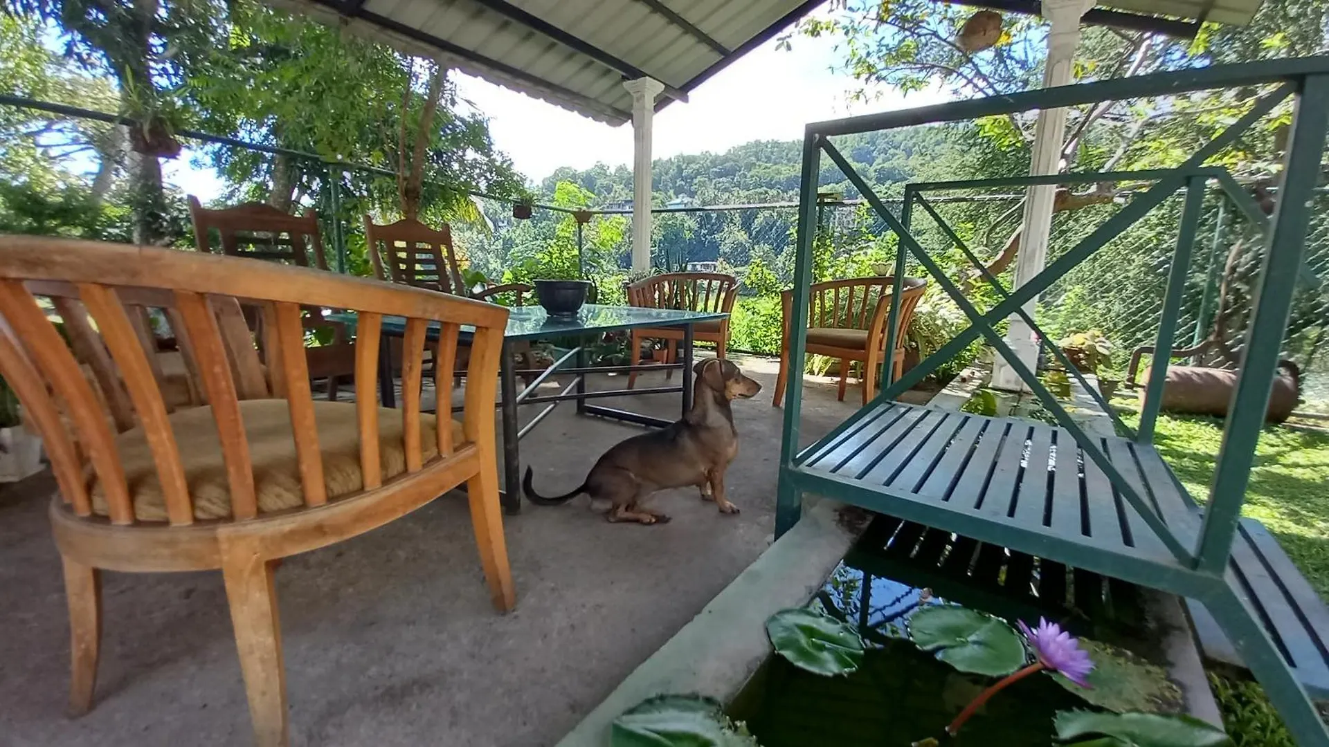 ** Affittacamere Hotel Mahaweli Shades Kandy Sri Lanka