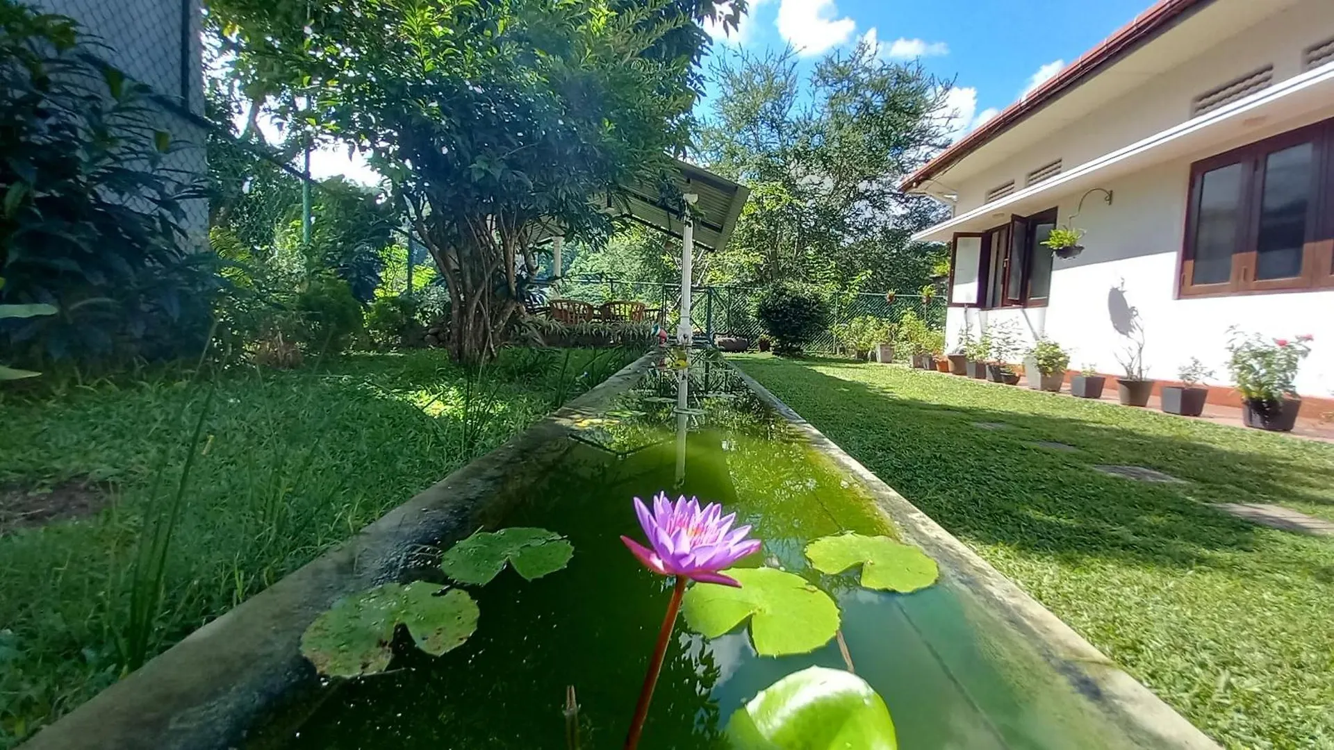 Hotel Mahaweli Shades Kandy Affittacamere