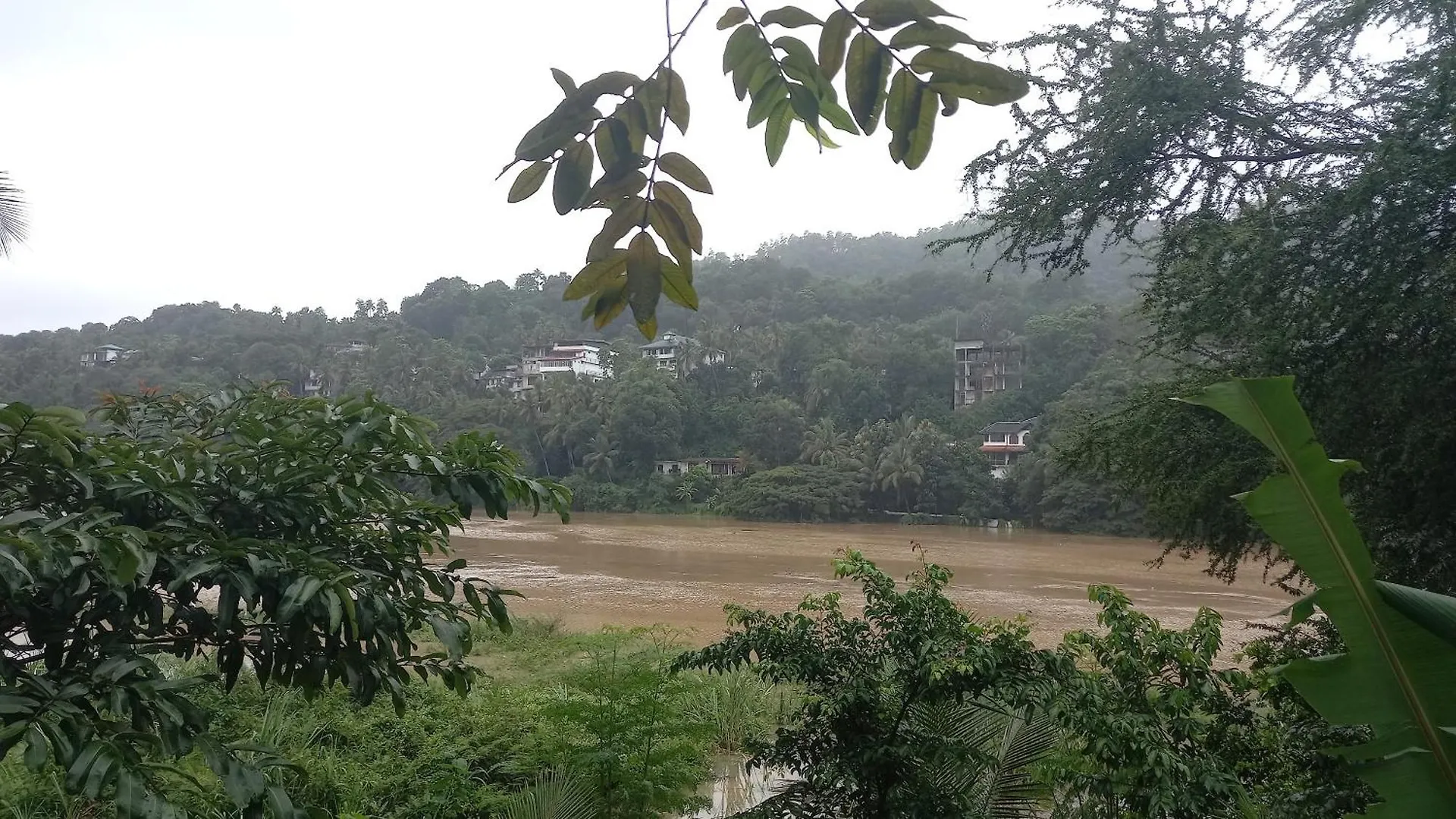 Affittacamere Hotel Mahaweli Shades Kandy